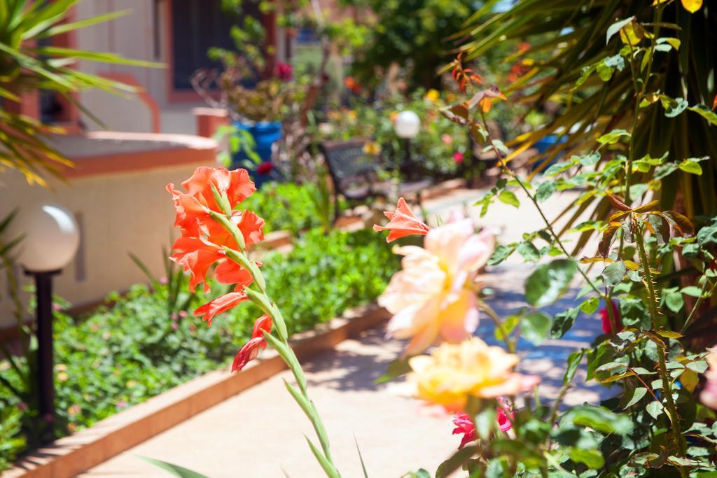 Palmira Apartments Makrýgialos Dış mekan fotoğraf